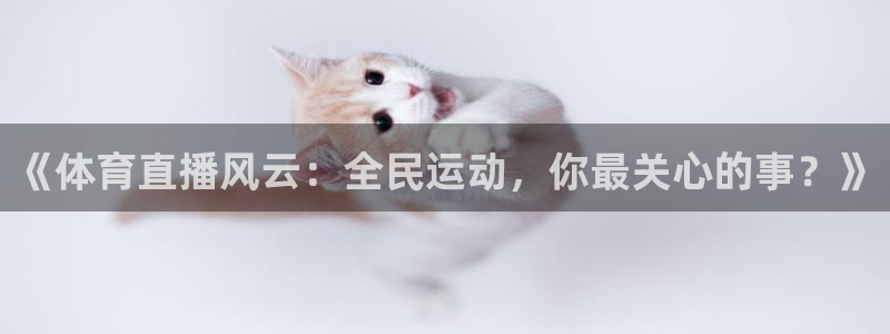 新闻图片