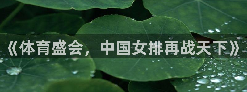 3833tv直播nba免看：《体育盛会，中国女排再战天下》