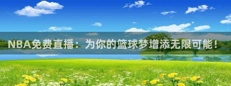 球帝带833赛事直播：NBA免费直播：为你的篮球梦增添无限可能！