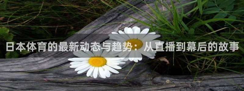 足球833直播免费观看直播：日本体育的最新动态与趋势：从直播到幕后的故事