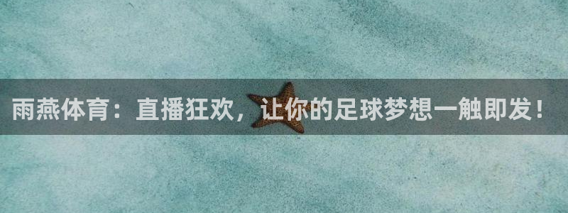 833赛事直播：雨燕体育：直播狂欢，让你的足球梦想一触即发！