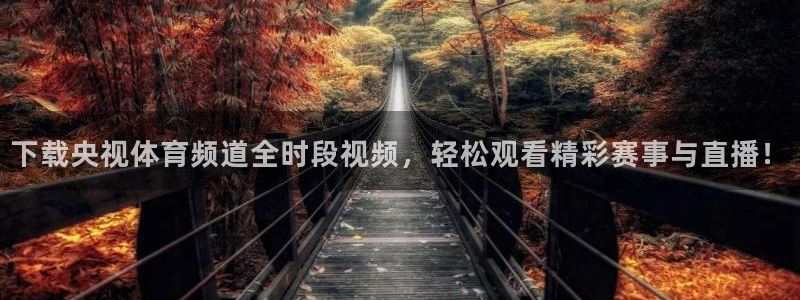 833直播足球比赛官网：下载央视体育频道全时段视频，轻松观看精彩赛事与直播！
