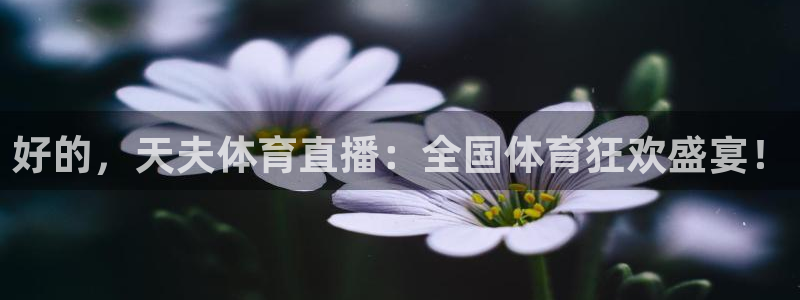833足球比赛直播免费观看：好的，天夫体育直播：全国体育狂欢盛宴！