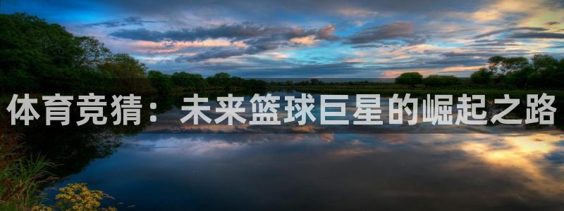 833体育赛事直播app：体育竞猜：未来篮球巨星的崛起之路
