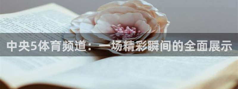 833足球比赛直播：中央5体育频道：一场精彩瞬间的全面展示